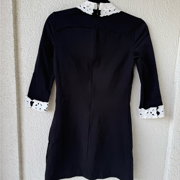 Ted Baker London Currie Lace Collar Tunic - Picture 5 of 5